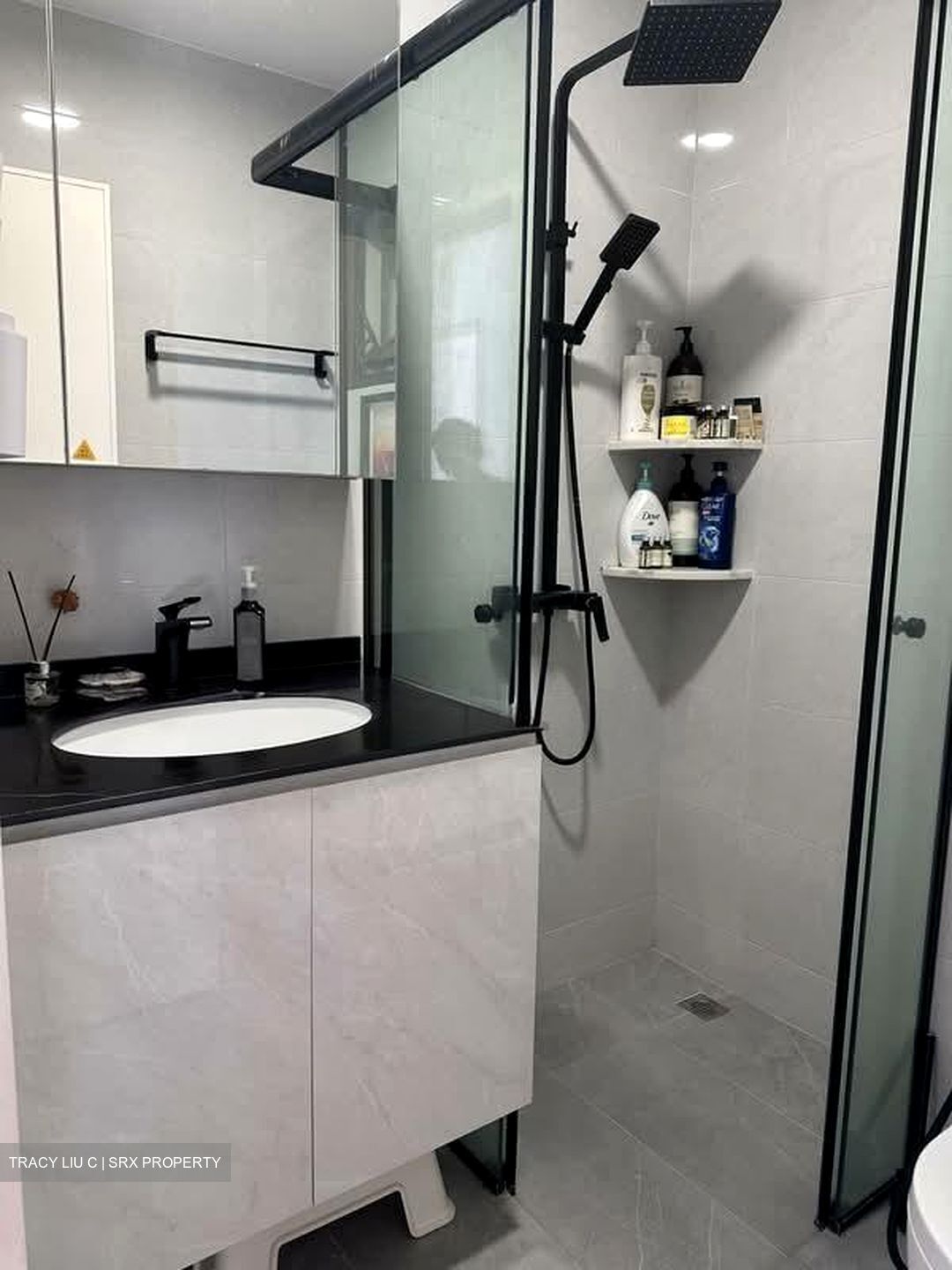 Nineteen Shelford Road (D11), Condominium #569781821